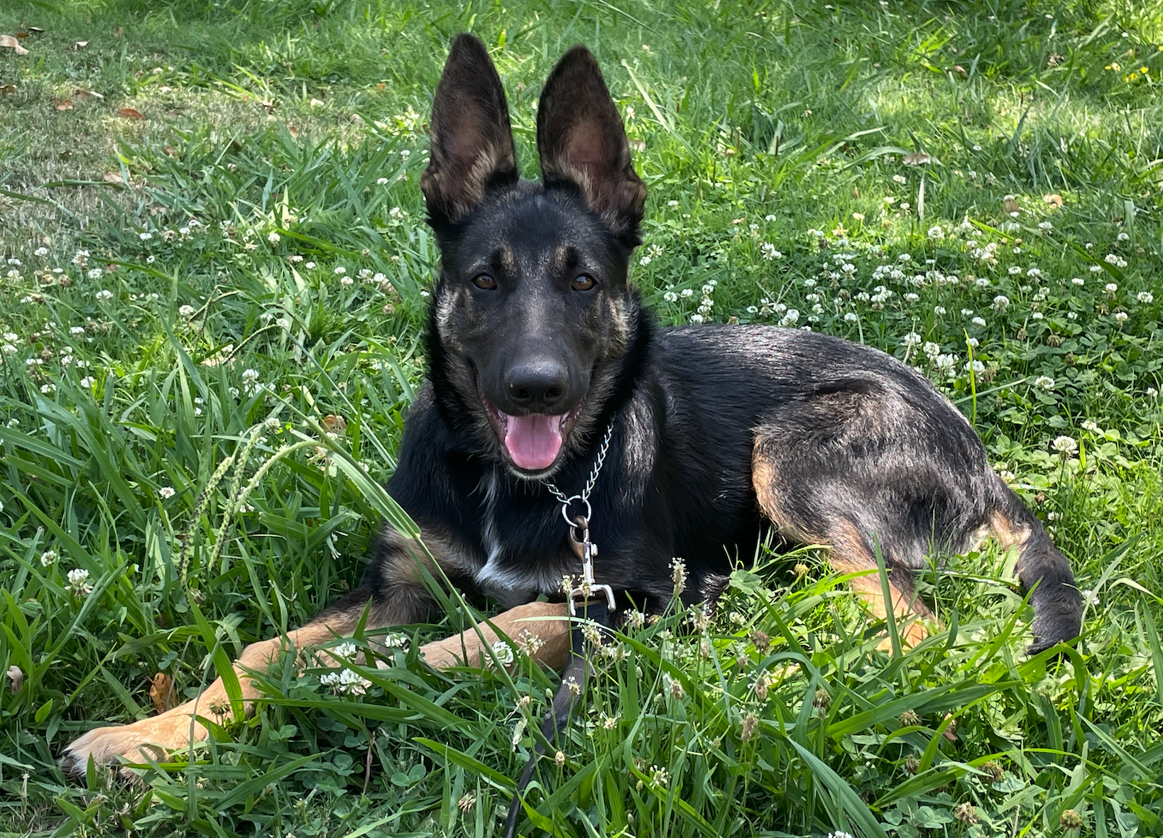 Rocky 21